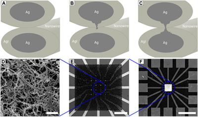 Spoken Digit Classification by In-Materio Reservoir Computing With Neuromorphic Atomic Switch Networks